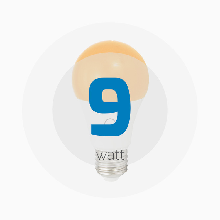 Burux 9 watt colored bulb lamp